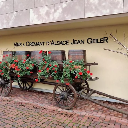 - 7 Min From Colmar Center - Bellevigne House Villa *