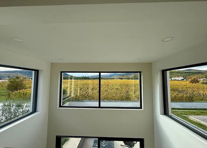 Villa - 7 Min From Colmar Center - Bellevigne House *